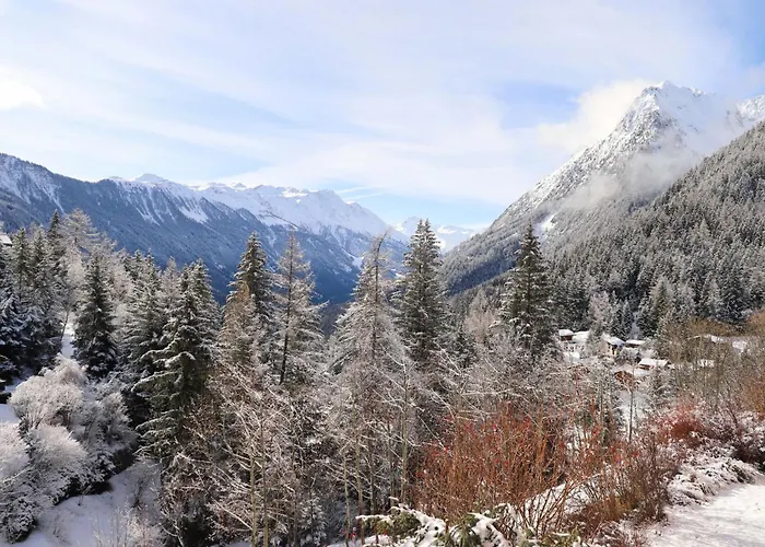 Les Combins Apt- 23 By Interhome * Champex-Lac